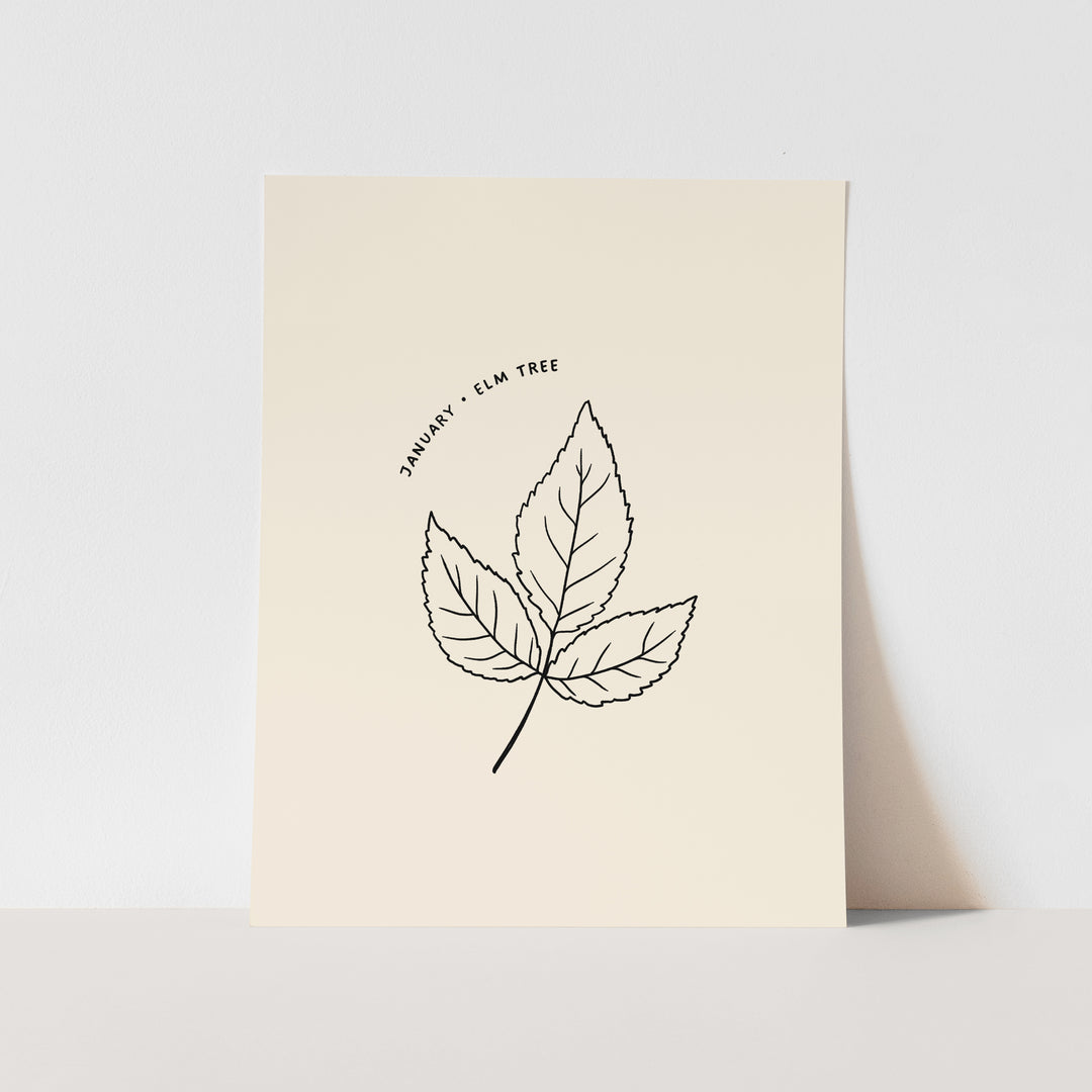 January Birth Month Art Print: Elm Tree