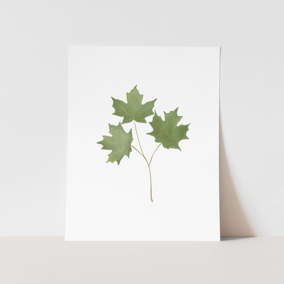 October Birth Month Art Print: Watercolor Maple Tree