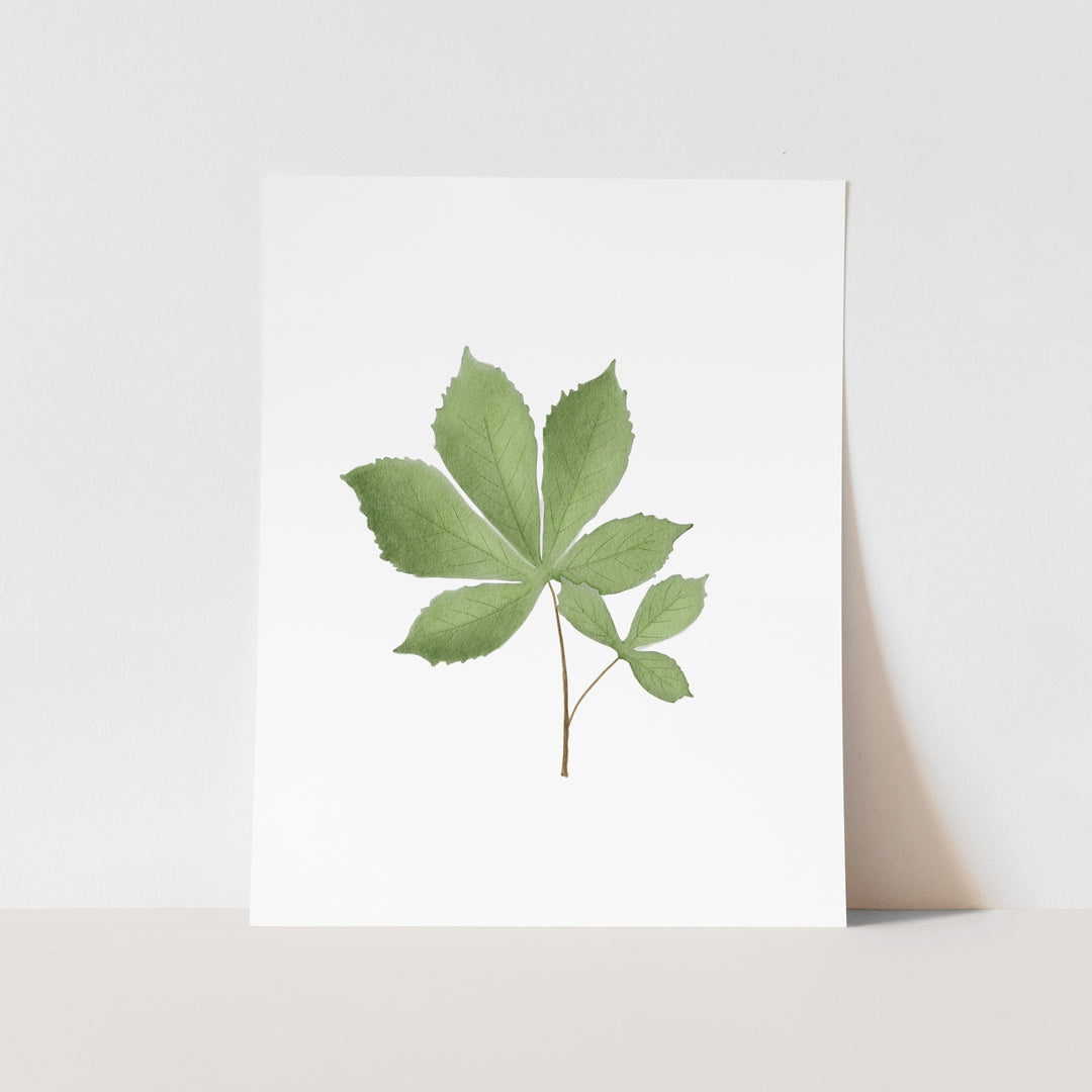 November Birth Month Art Print: Watercolor Chestnut Tree