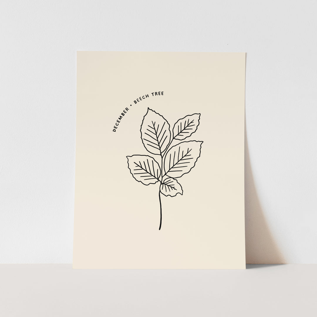 December Birth Month Art Print: Beech Tree