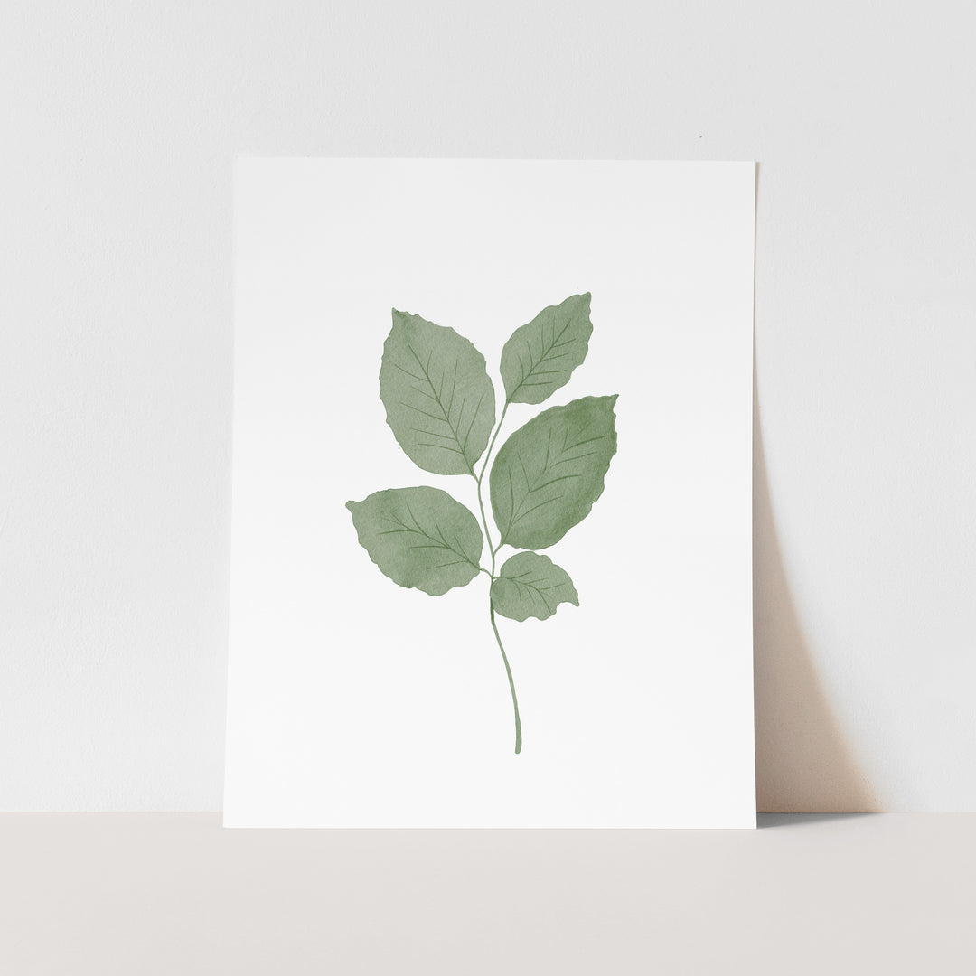 December Birth Month Art Print: Watercolor Beech Tree