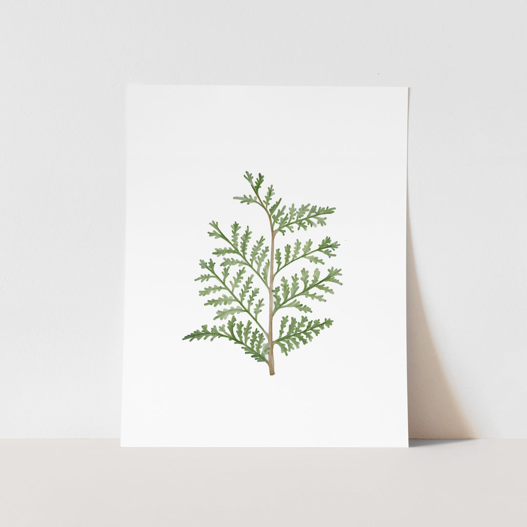 February Birth Month Art Print: Watercolor Cedar Tree