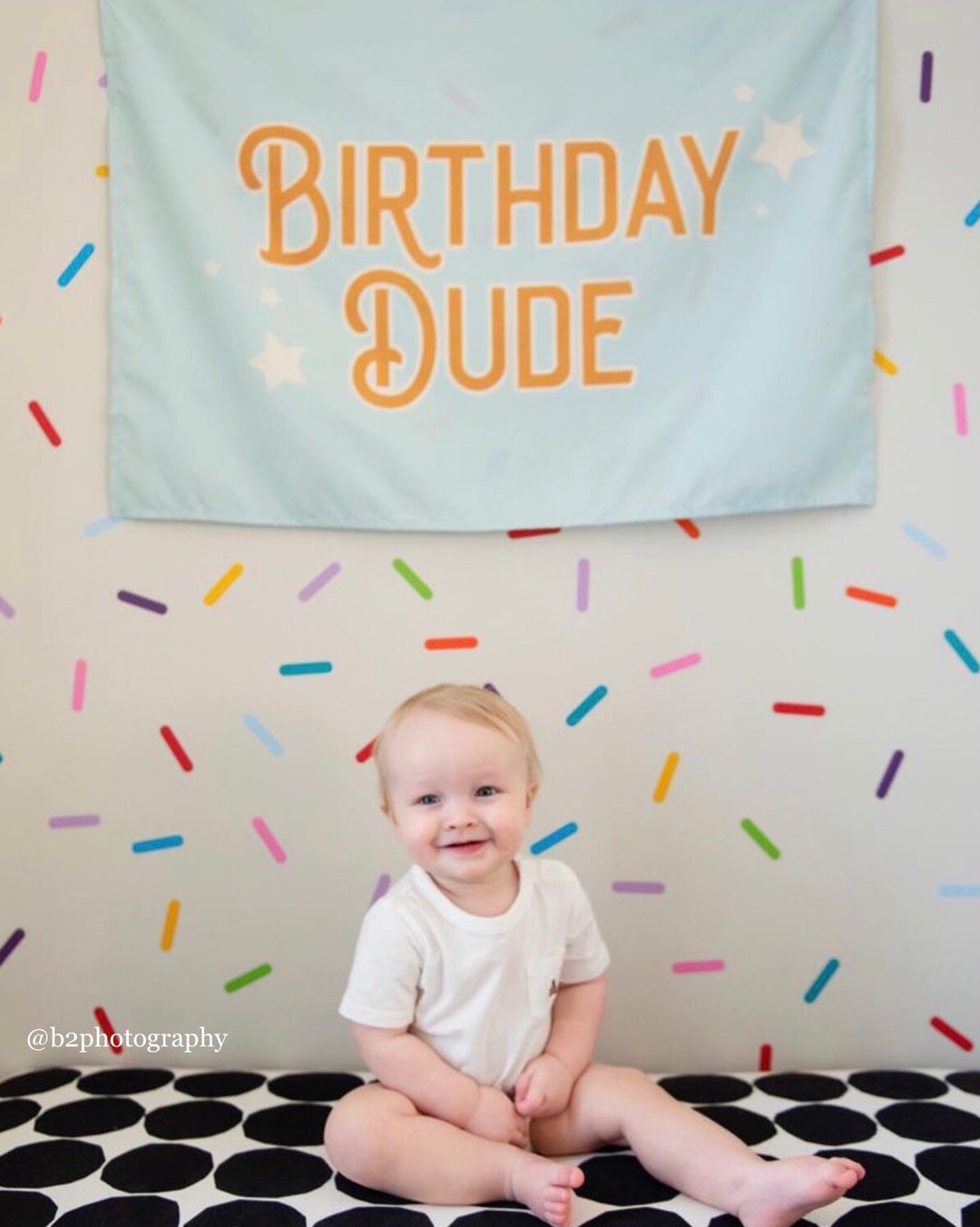 Birthday Dude Banner