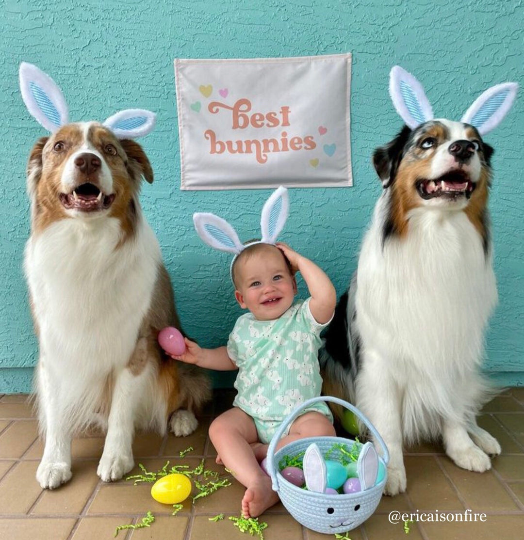 {Neutral} Best Bunnies Banner