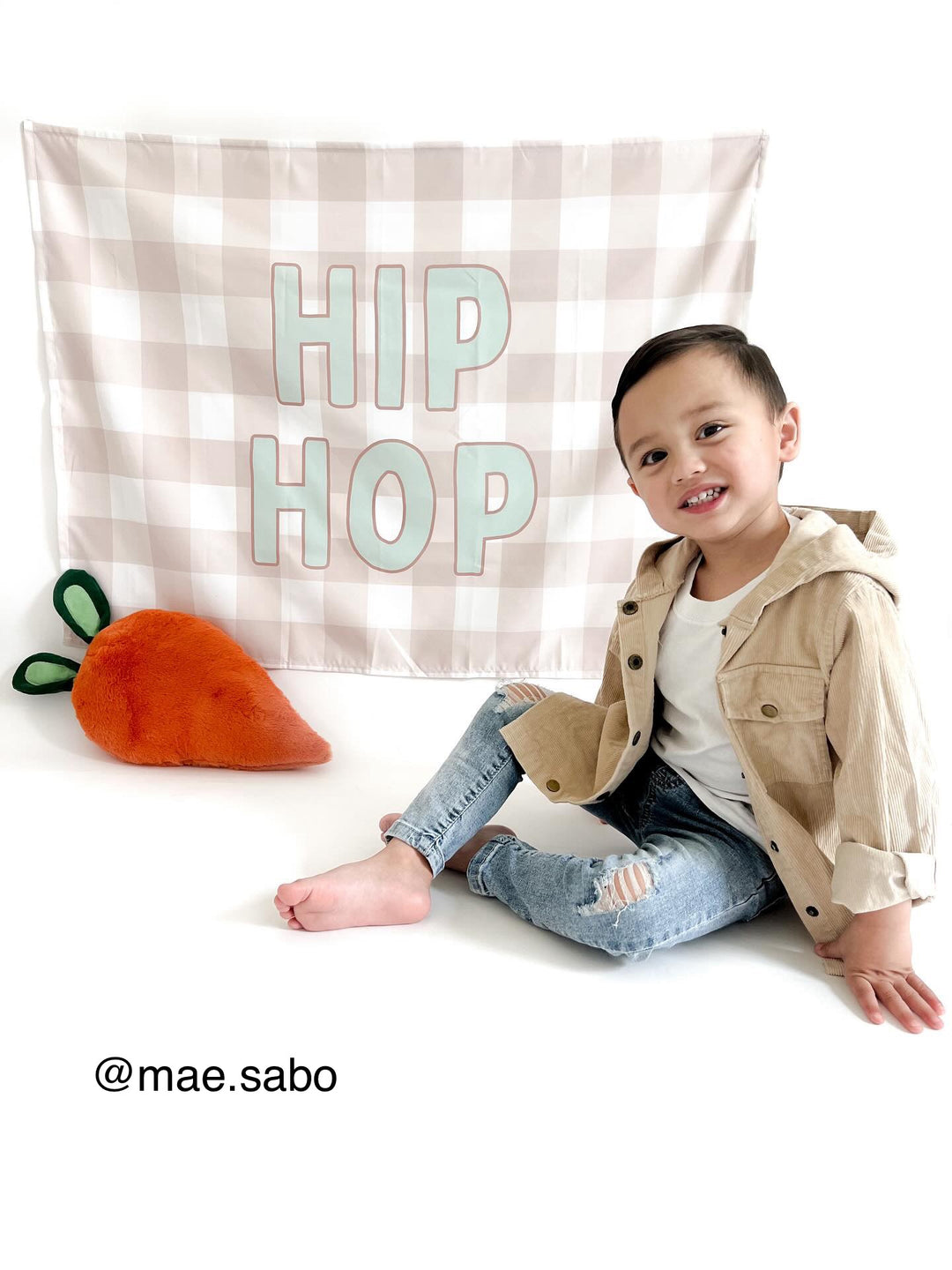 {Gingham} Hip Hop Banner