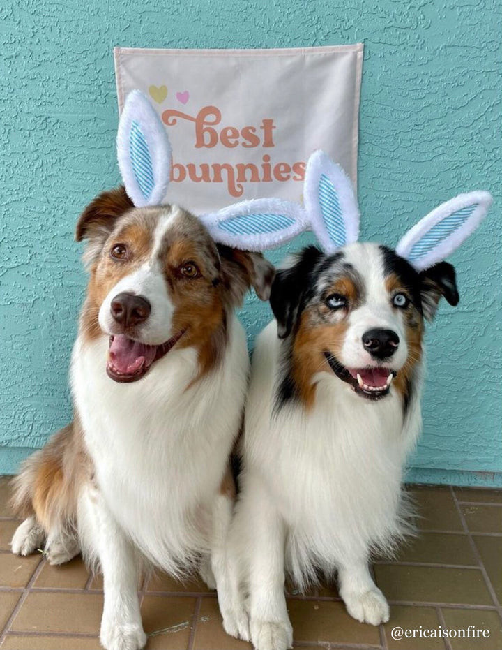 {Neutral} Best Bunnies Banner