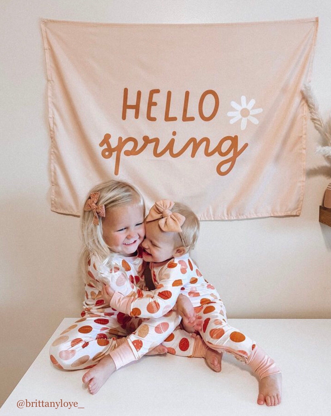 Hello Spring Banner