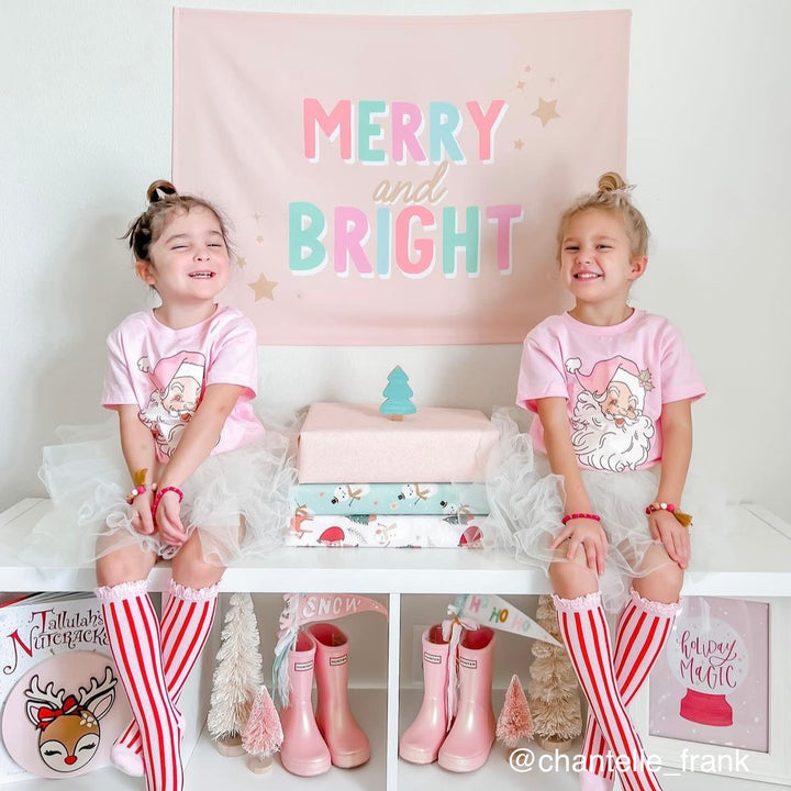 {Pink + Blue} Merry & Bright Banner