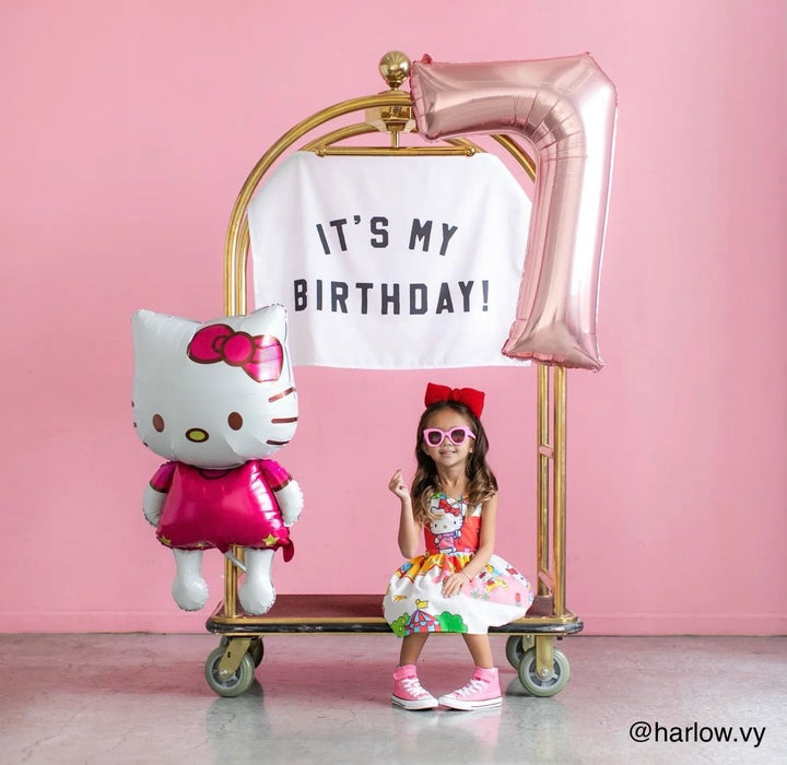 It's My Birthday Banner