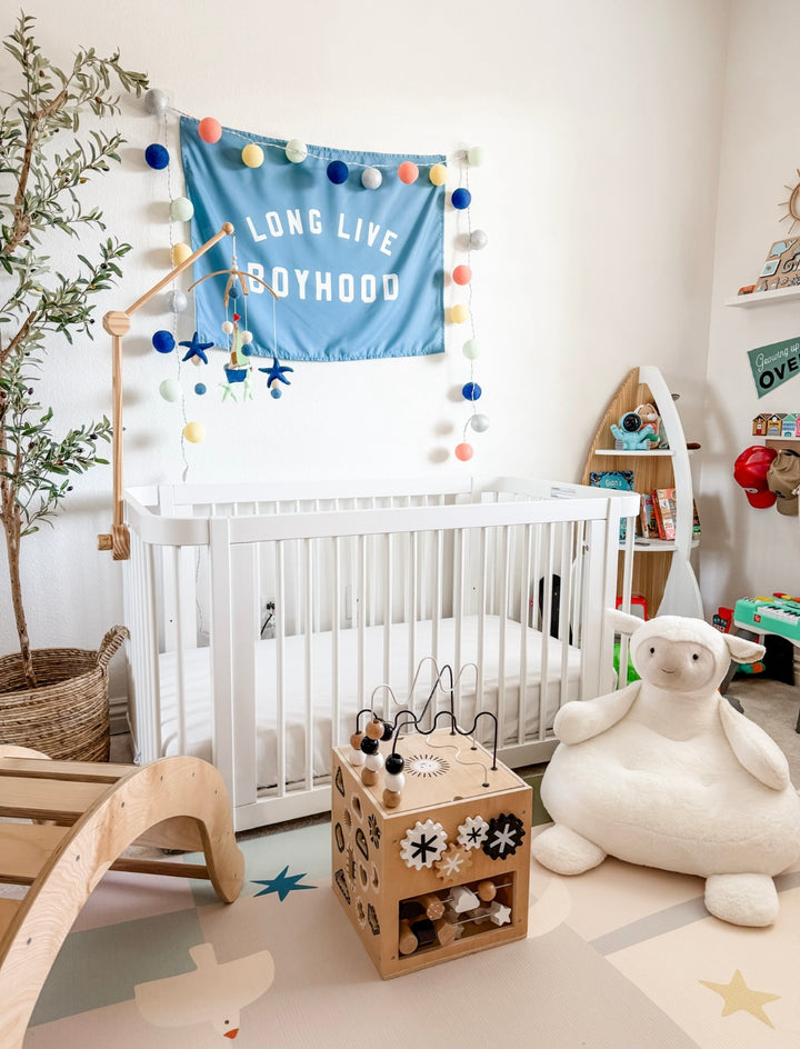 Long Live Boyhood Banner