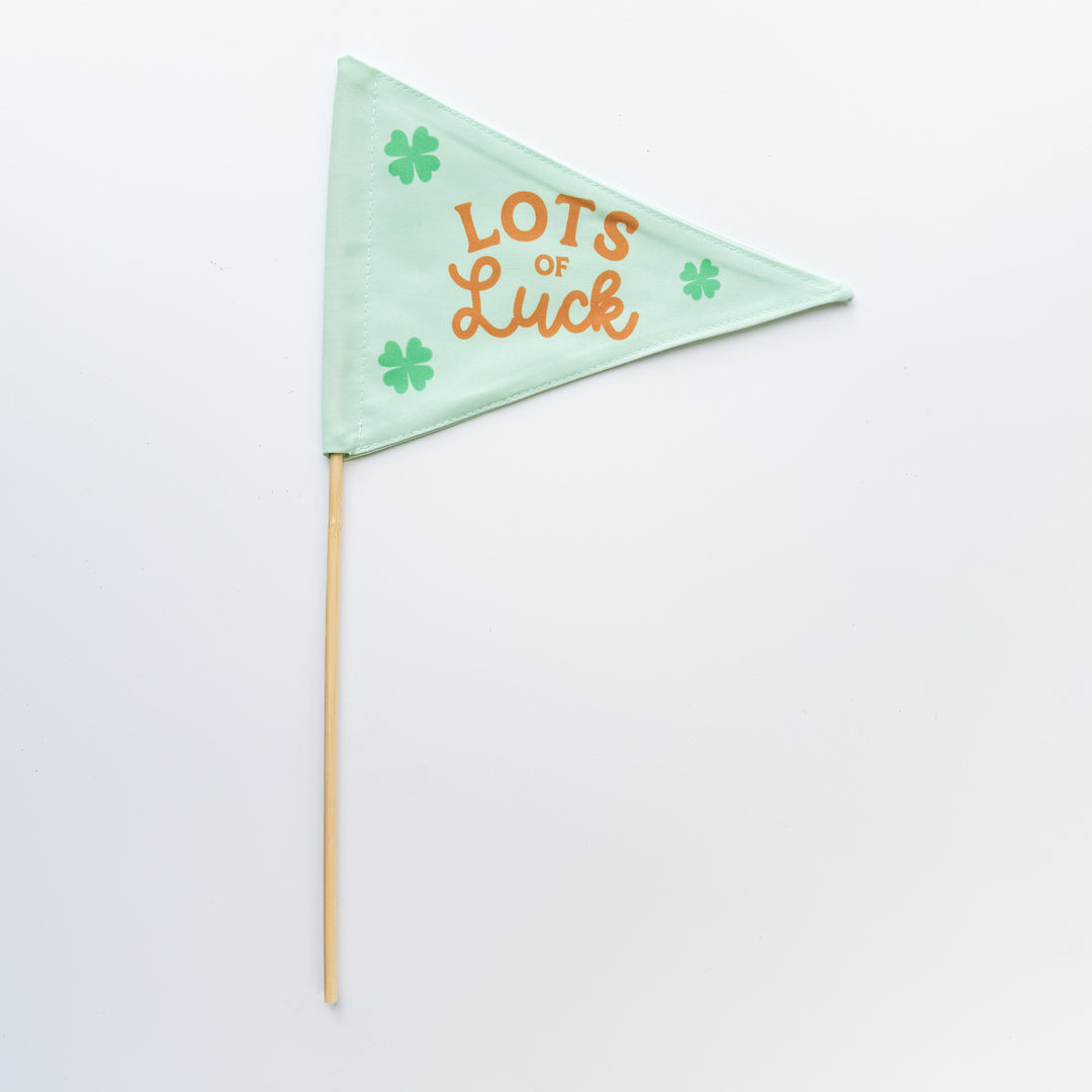 Lots Of Luck Flag