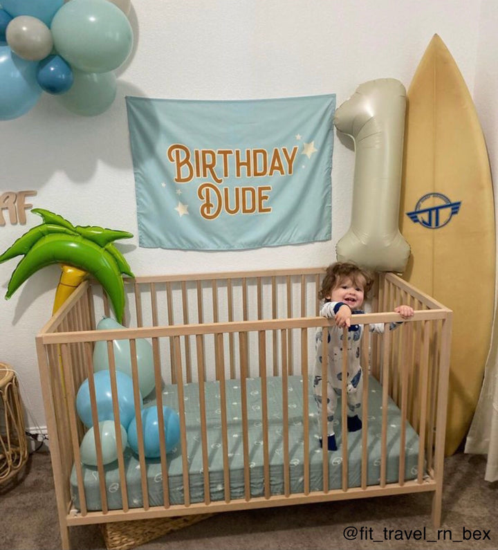 Birthday Dude Banner
