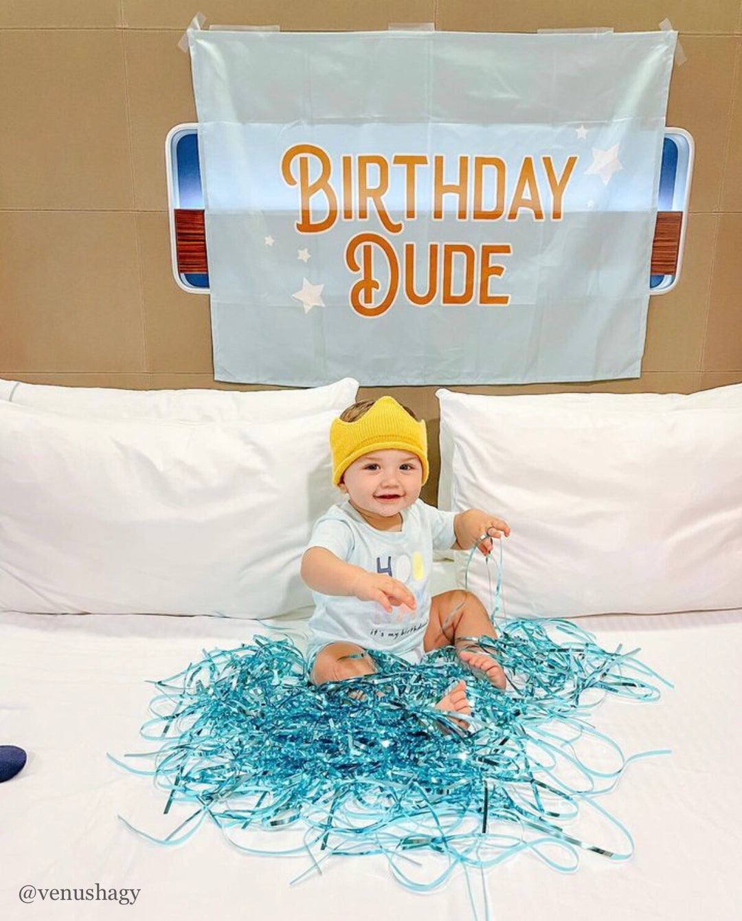 Birthday Dude Banner