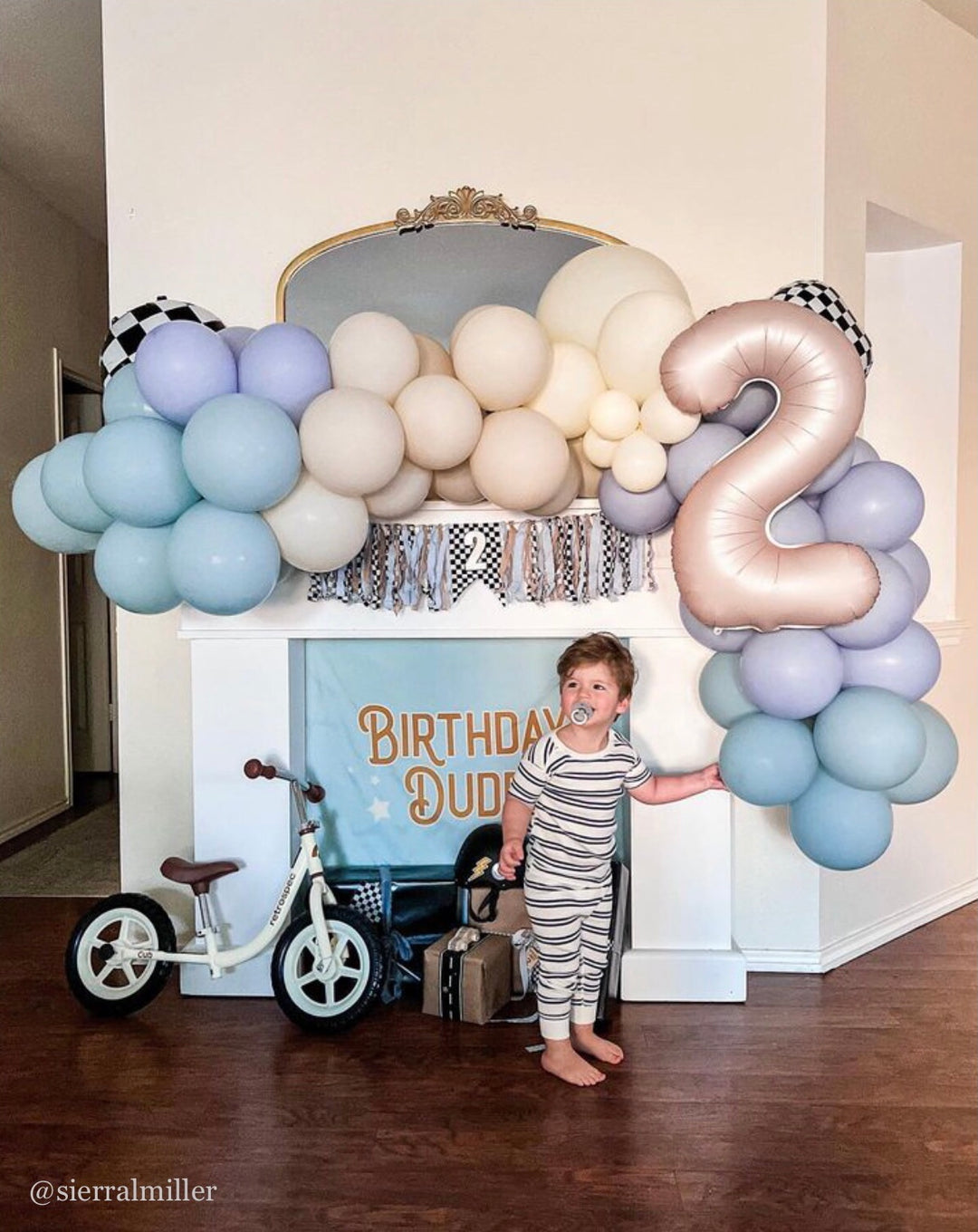 Birthday Dude Banner