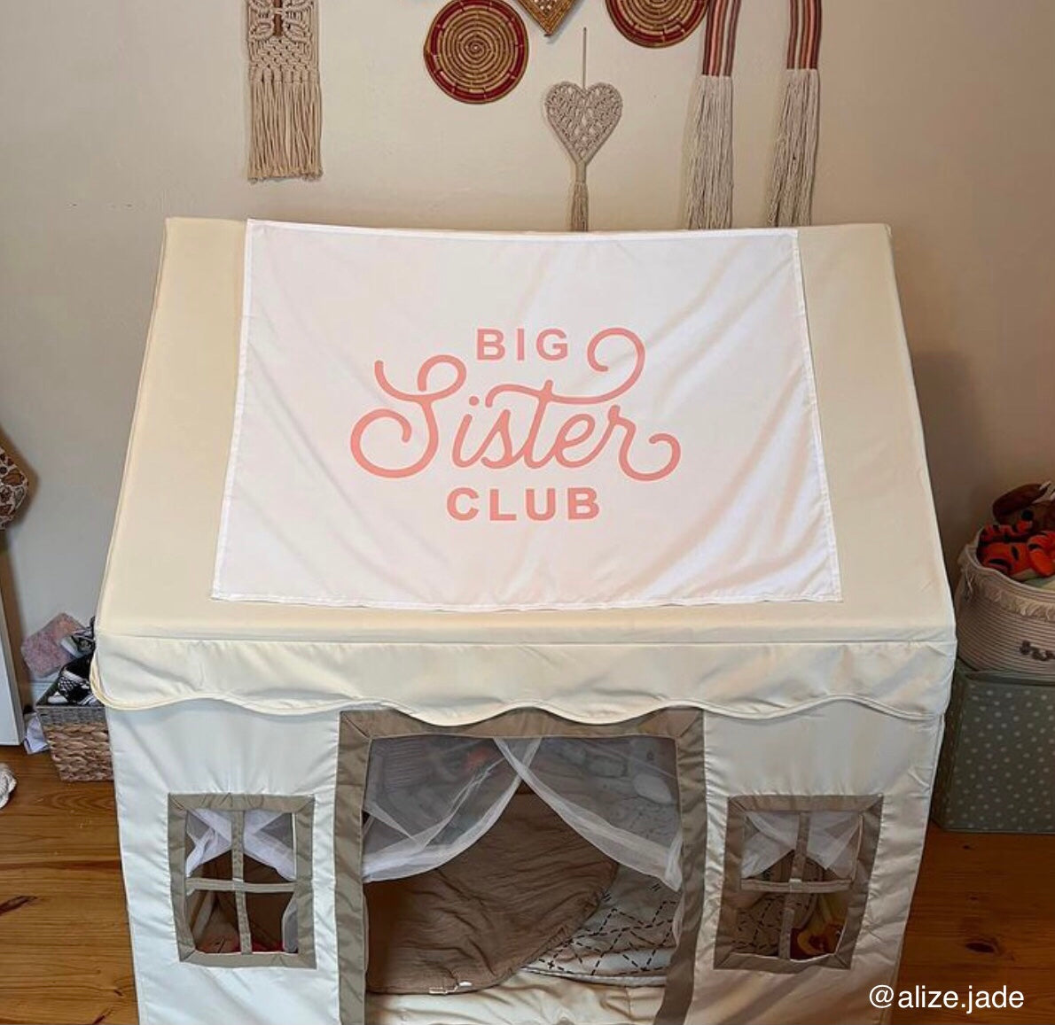 Big Sister Club Banner
