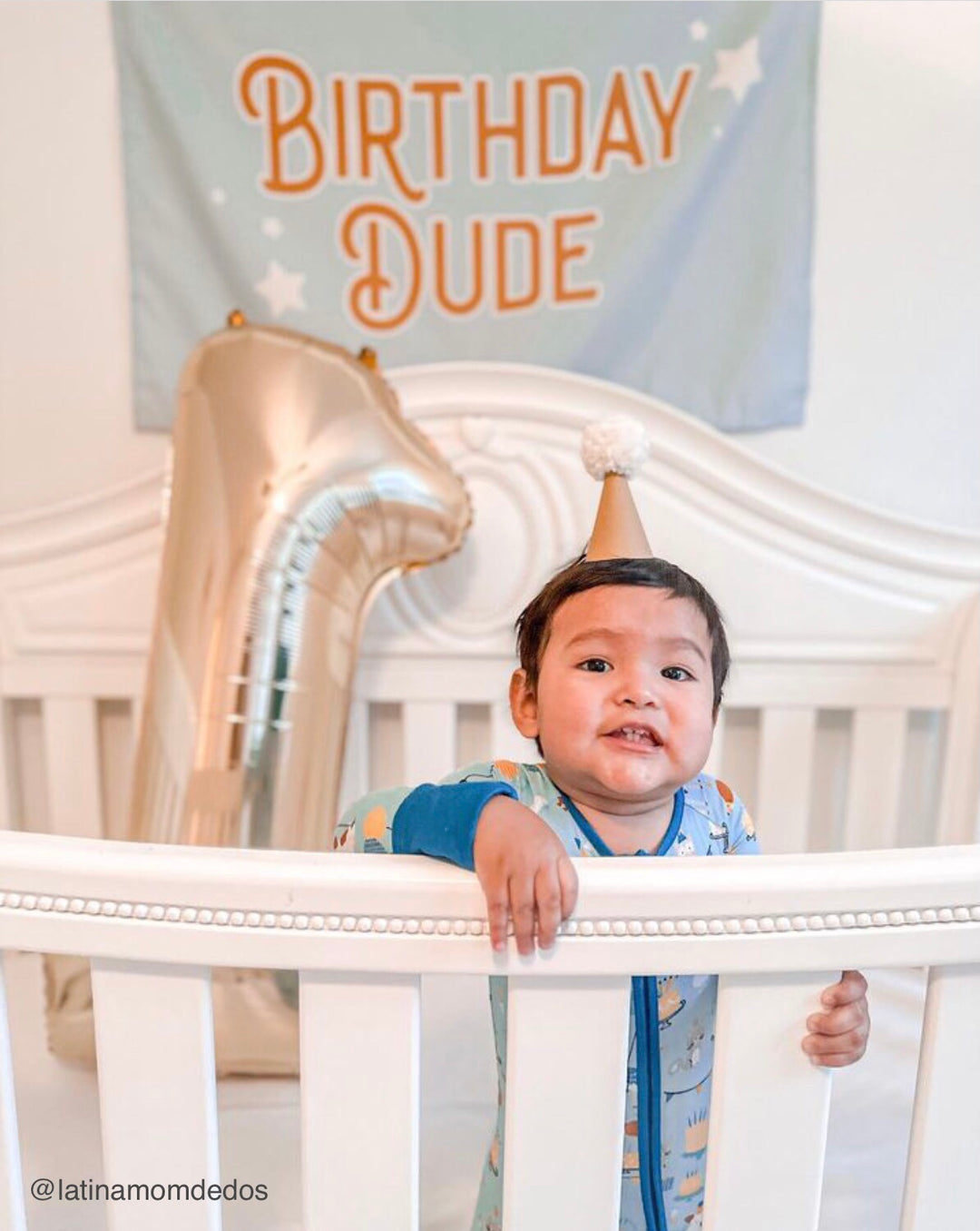 Birthday Dude Banner