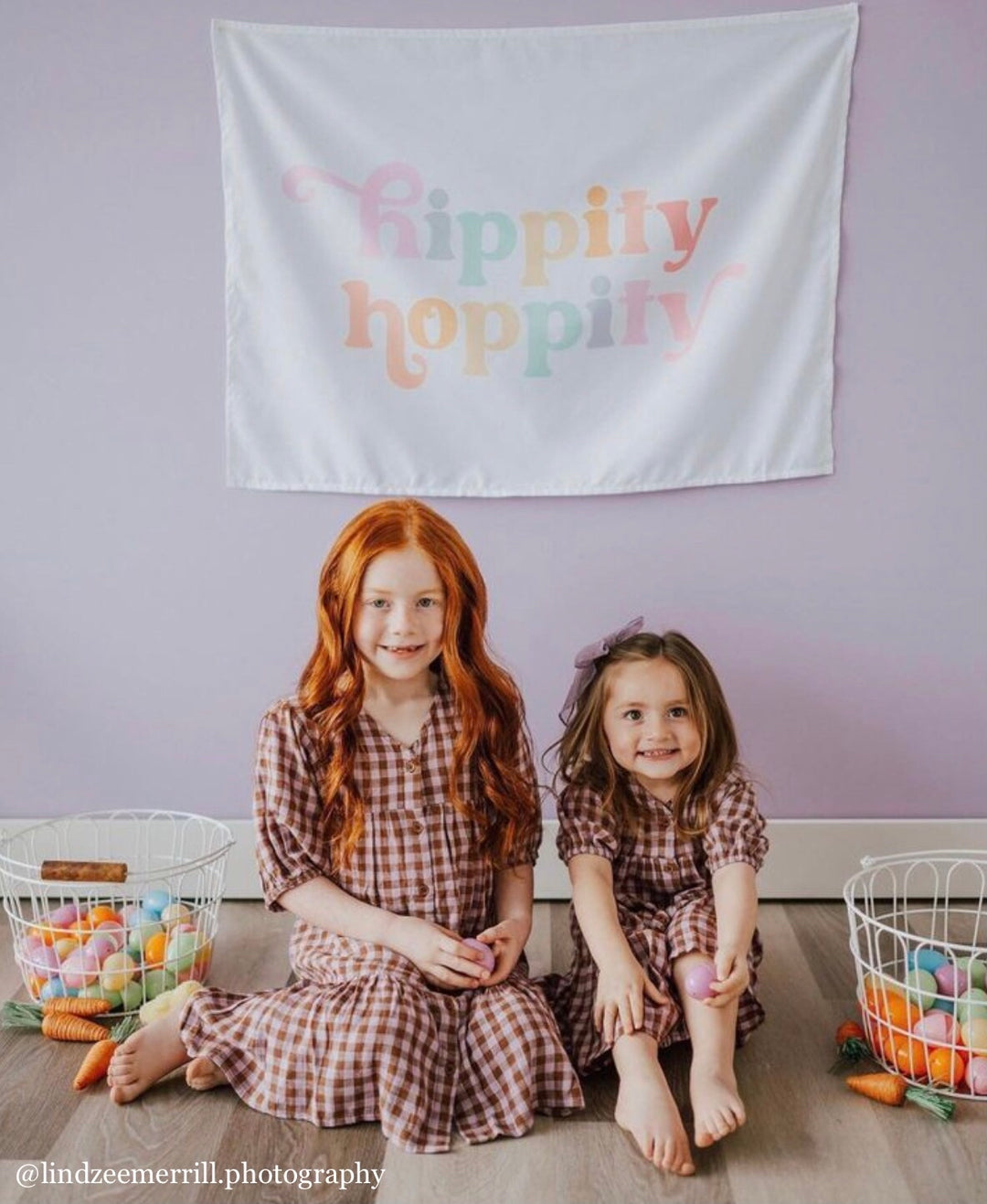 Hippity Hoppity Banner