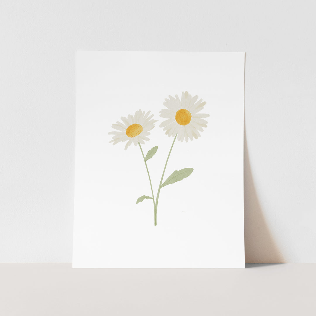 A simple white paper with a single illustration of two white daisies with yellow centers.