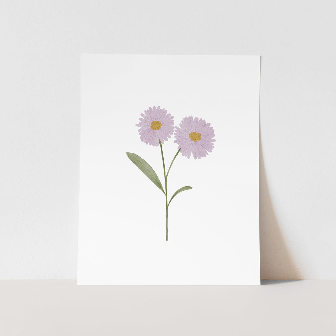 A simple illustration of two purple daisy flowers with green stems and leaves on a white background.