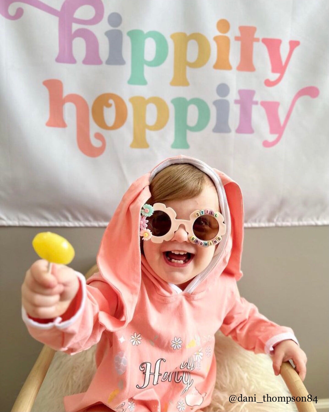 Hippity Hoppity Banner