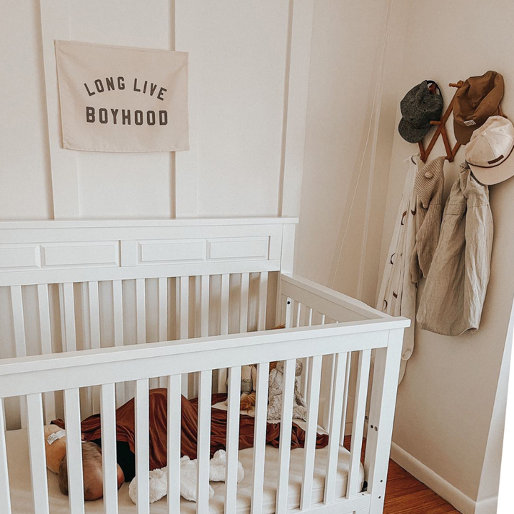 Long Live Boyhood Banner