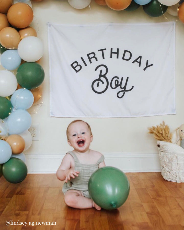 Birthday Boy Banner