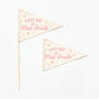 {Pink} First & Last Day Flag Sets