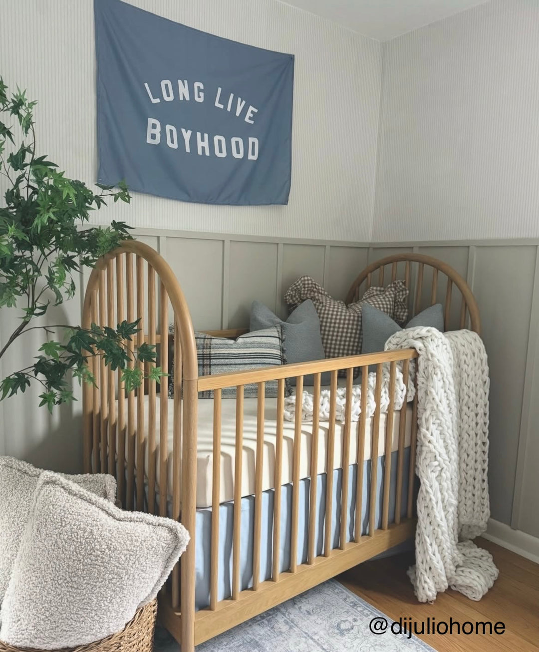 Long Live Boyhood Banner