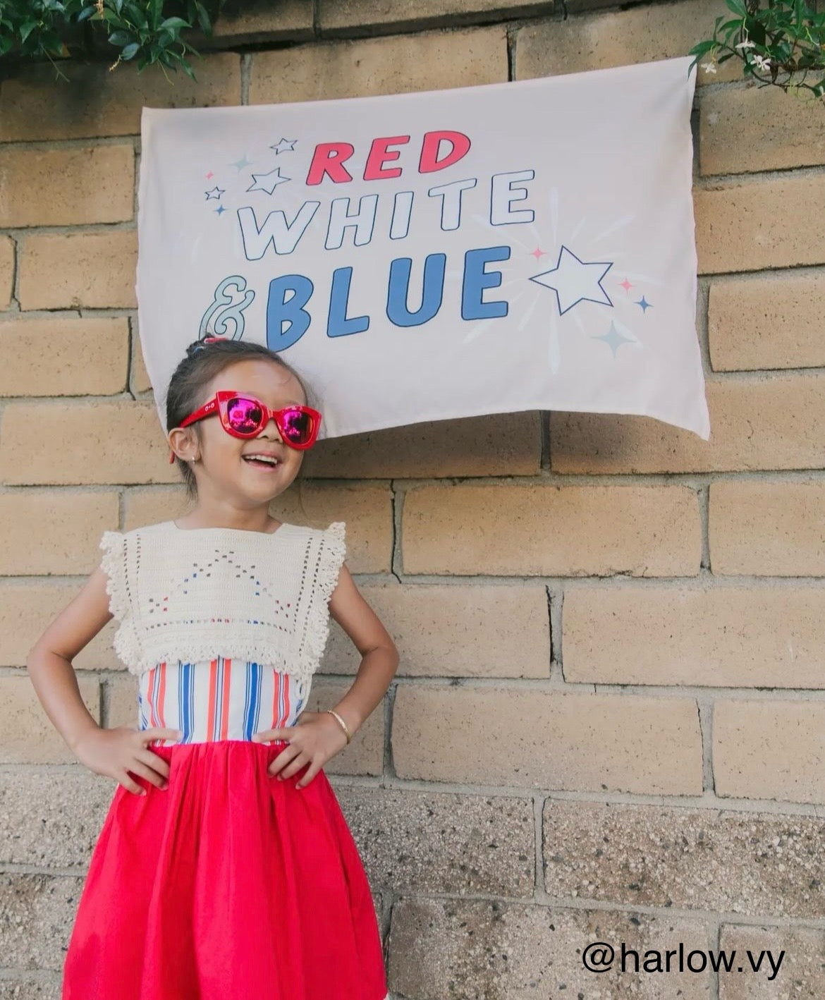 Red White & Blue Banner