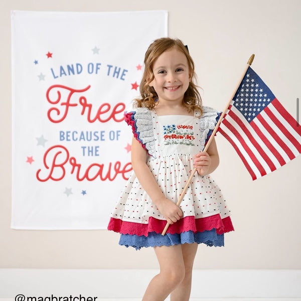 Land of the Free Banner