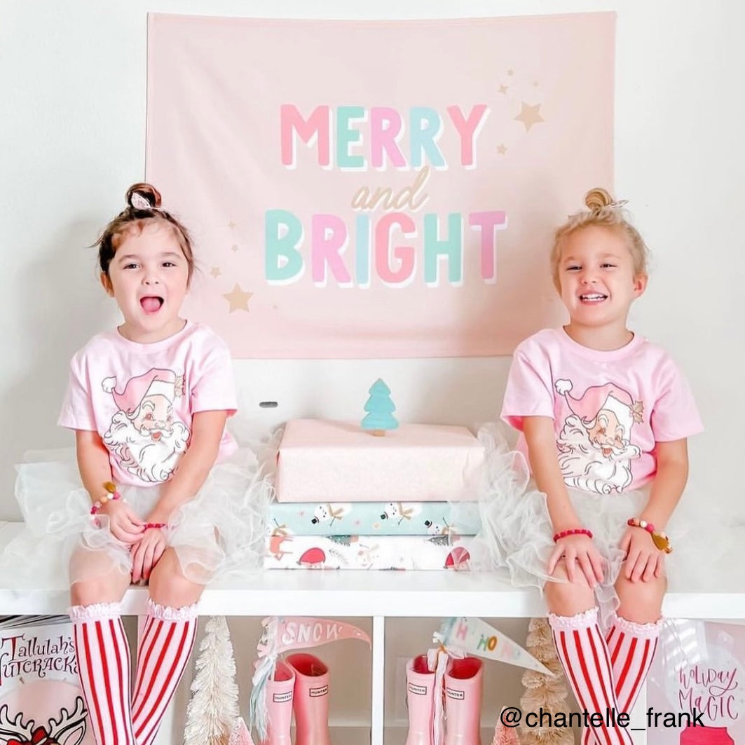 {Pink + Blue} Merry & Bright Banner