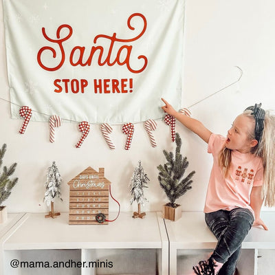 Santa Stop Here Banner