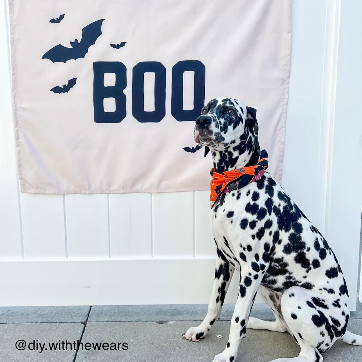 Boo Banner