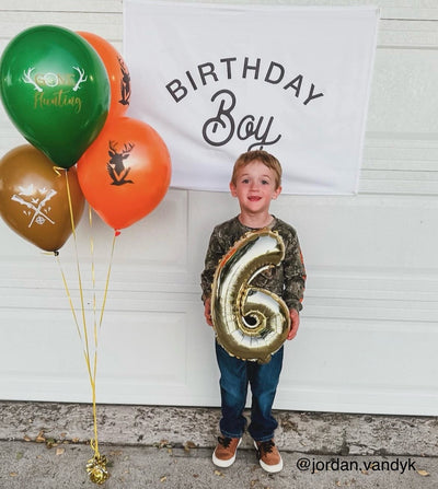 Birthday Boy Banner