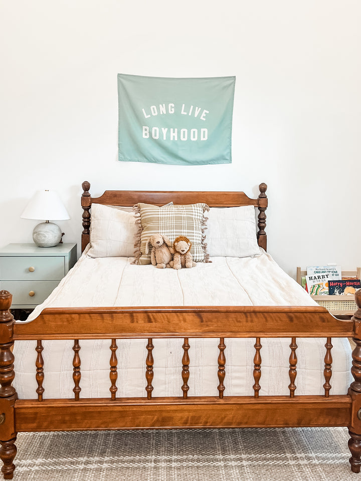 Long Live Boyhood Banner