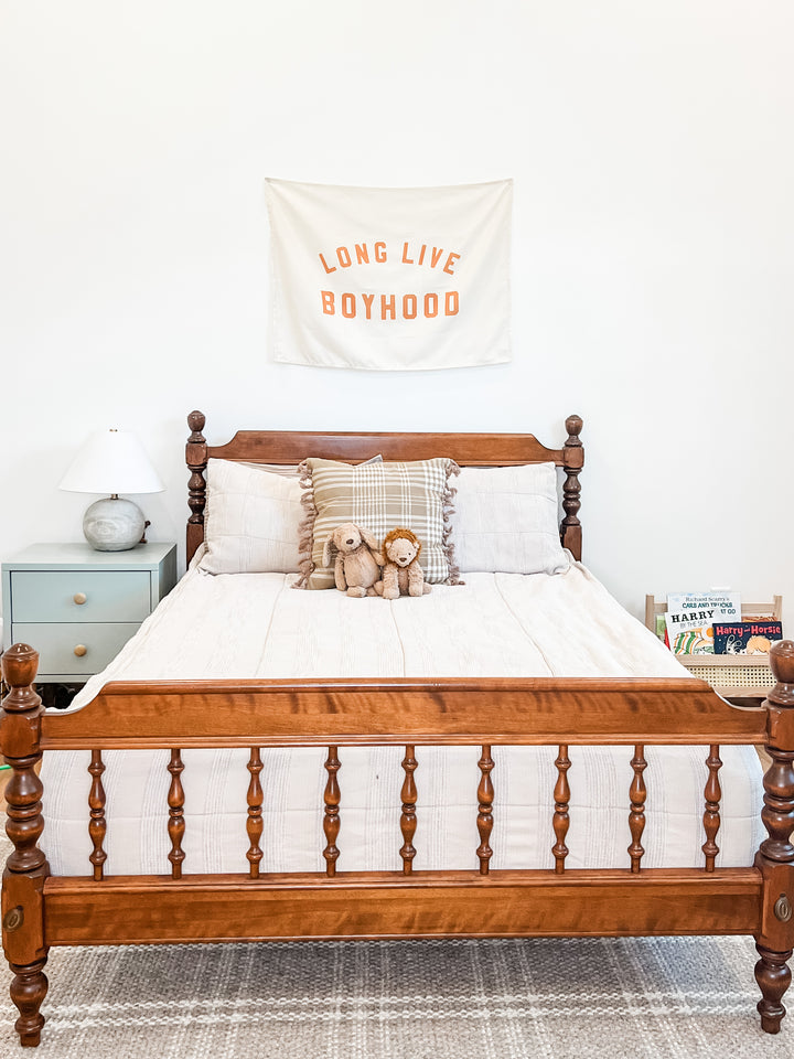 Long Live Boyhood Banner