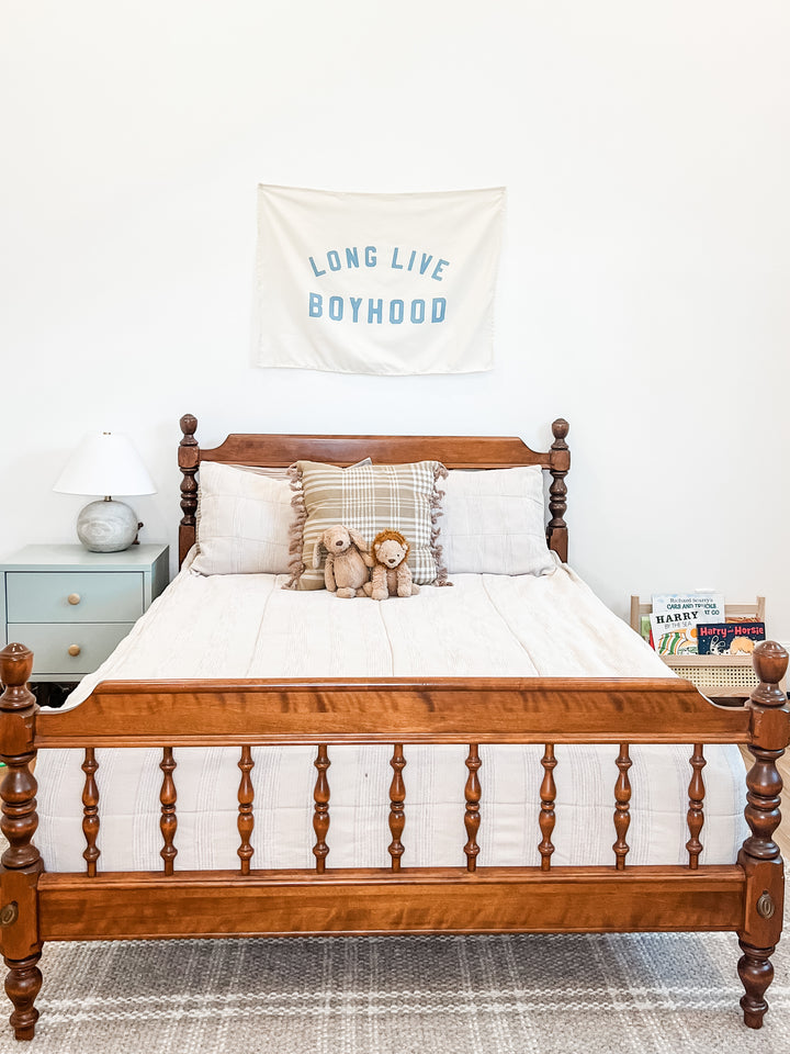 Long Live Boyhood Banner