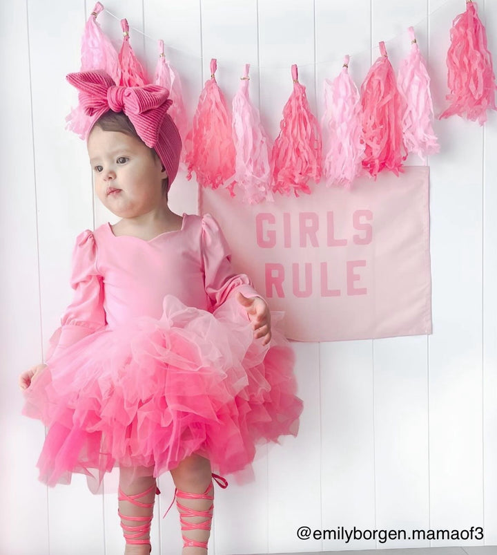 Girls Rule Banner
