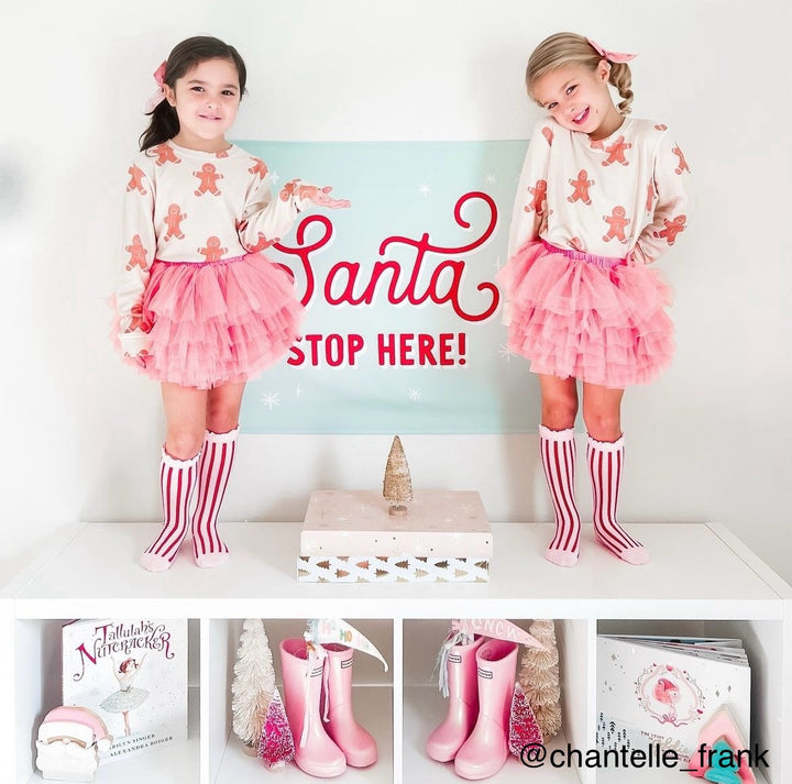 PRE-ORDER: Santa Stop Here Banner