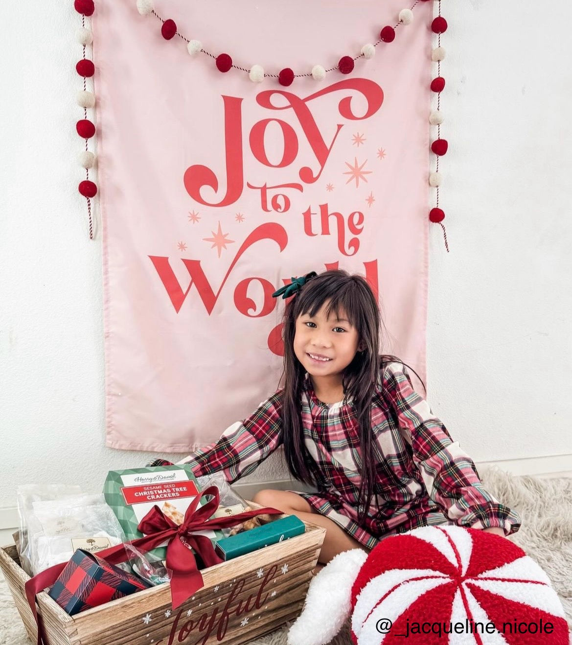 Joy To The World Banner©