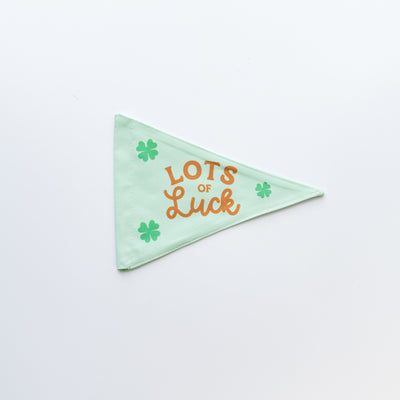 Lots Of Luck Flag