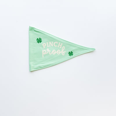 Pinch Proof Flag