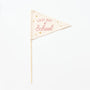 {Pink} Last Day Individual School Flags
