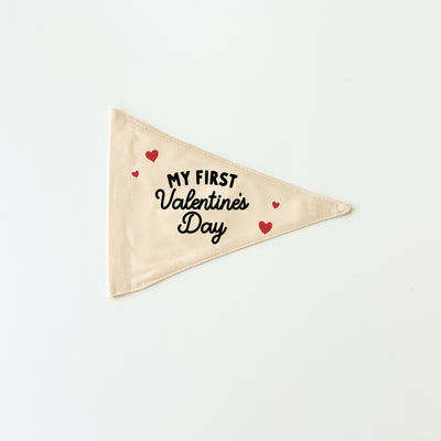 My First Valentine's Day Flag