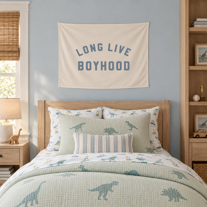 Long Live Boyhood Banner