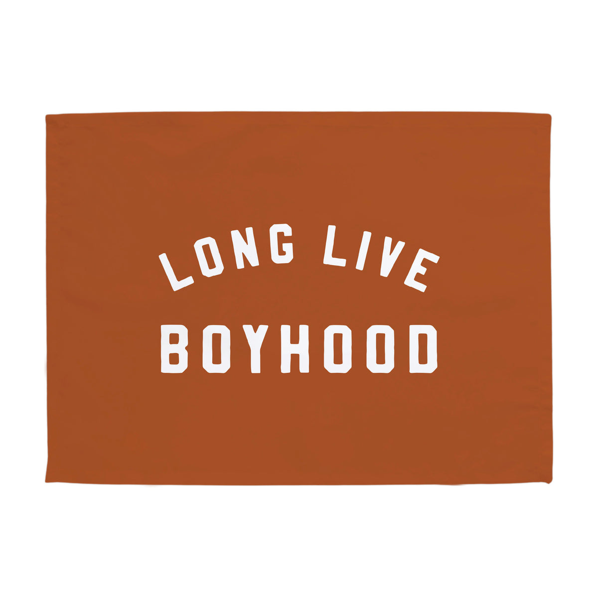 Long Live Boyhood Banner
