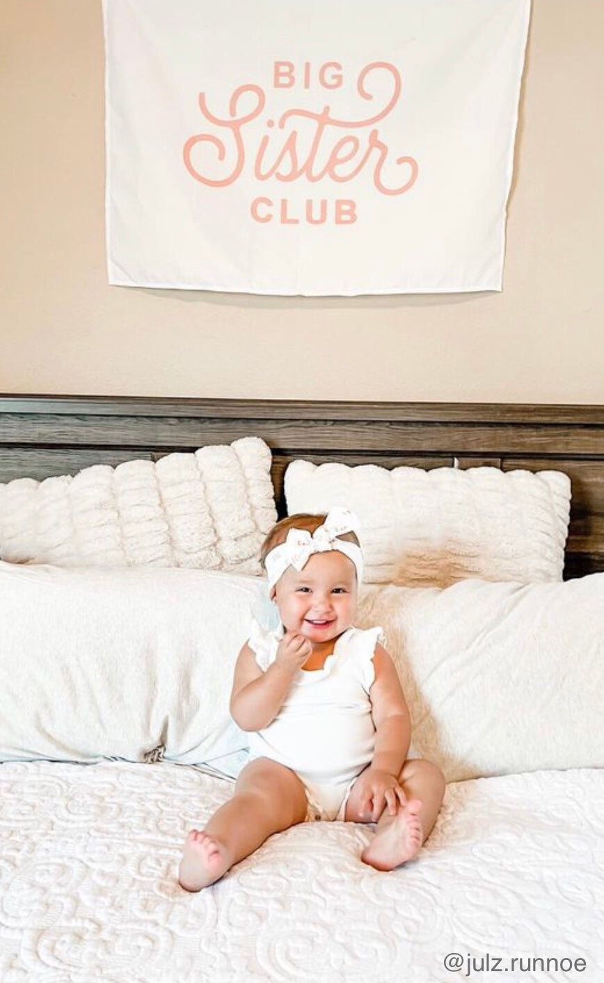 Big Sister Club Banner