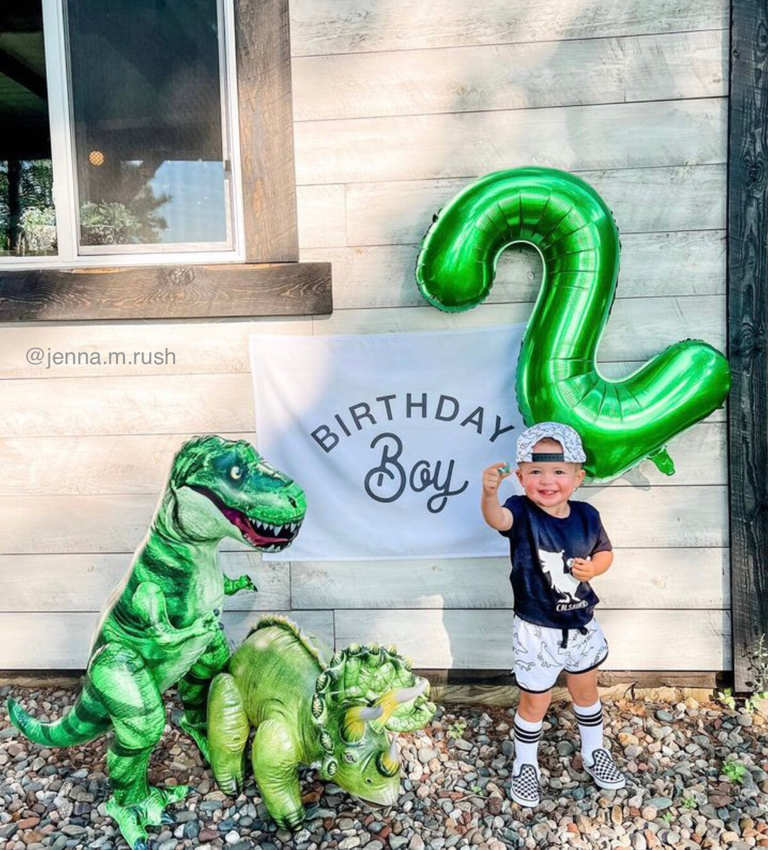 Birthday Boy Banner