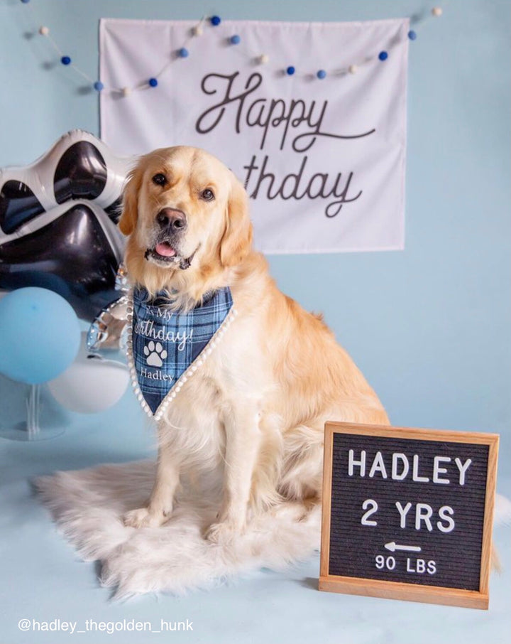 Happy Birthday Banner