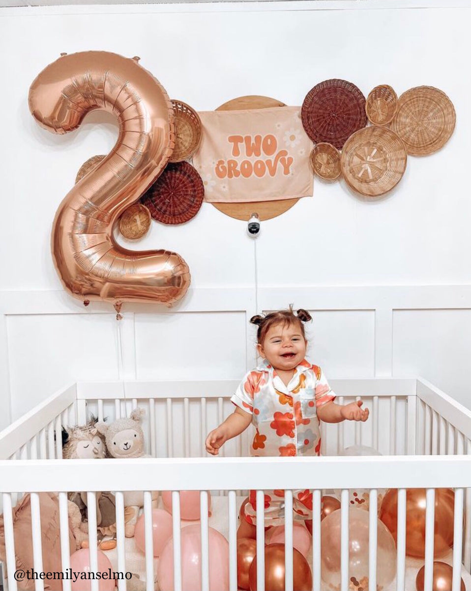 {Pink} Two Groovy Banner